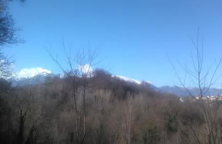 Il Gelso Rosso - Foto 4