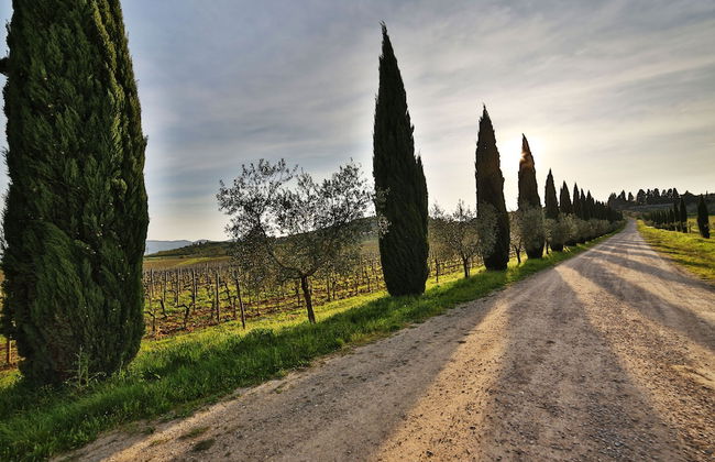 Fattoria Pagnana suites and pool - Foto 64