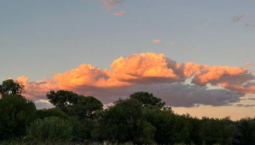 Riesling Retreat - Foto 5