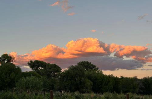 Riesling Retreat - Foto 5