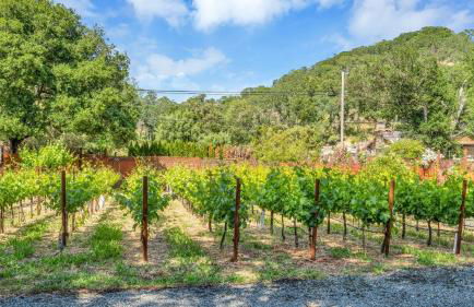 Grapevine Cottage by Avantstay Hobby Vineyard + Firepit - Foto 91