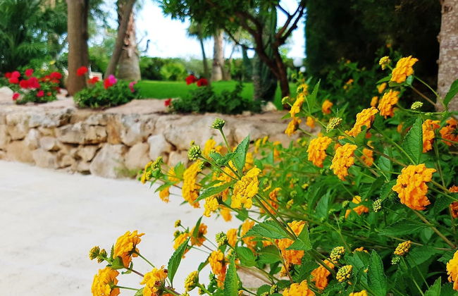 Villa Gina - Torre San Giovanni - Foto 19