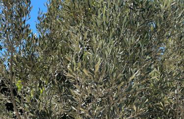 Tantulia la casita del Caballo - Foto 36