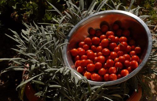 Brna Three-room apartment near the beach-Zen - Foto 29