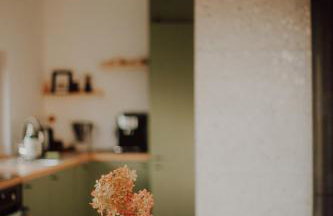 Domki Ulkowo - Foto 41