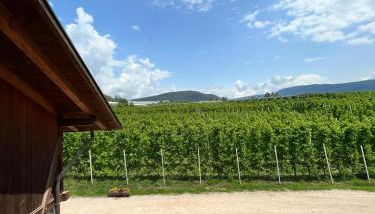 Agritur Maso Forcola - Photo 4