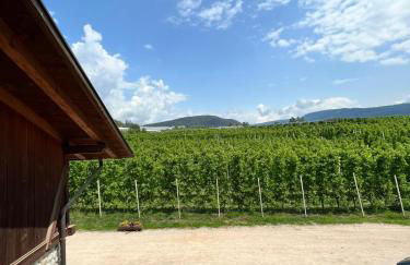 Agritur Maso Forcola - Photo 4