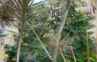 Flat - Condomínio Brisa da Serra - Gravatá - Foto 33