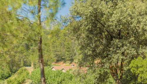 Casas rurales Batan Rio Tus - Foto 3