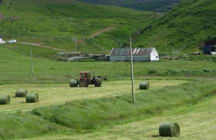 CROFTERS CABIN - Foto 19