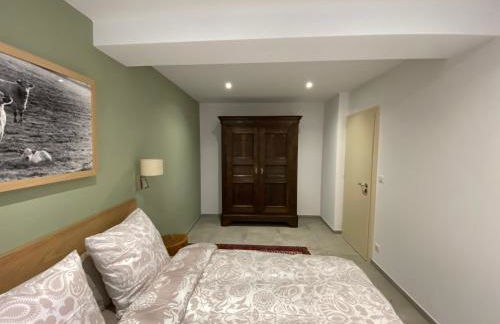 Logement de charme dans un monument historique daté de 1544, au centre de Haguenau - Photo 19