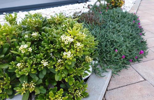 villa flores - Foto 17