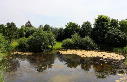 Rustic-style Apartment in Buschenhagen With Garden - Foto 28