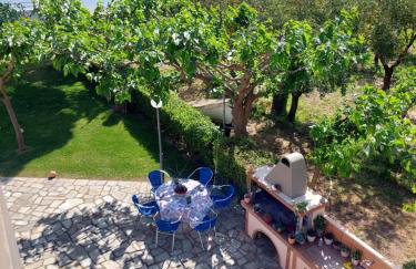 Platanidia Apartment Pelion - Foto 27