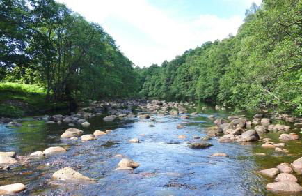 Bunroy Park - Foto 26