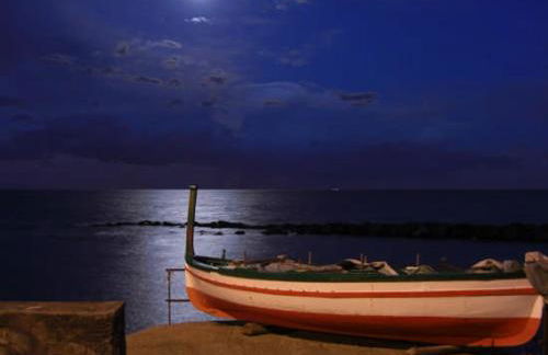 Nucifora's House - Foto 17