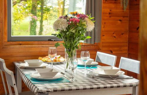 Chalet Lodge 4 - Hot Tub Lodge by Interhome - Foto 2