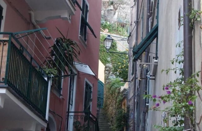 Zia Letizia Bed and Wine - Foto 18