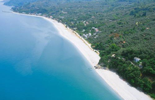 House of Gardenia - Foto 94