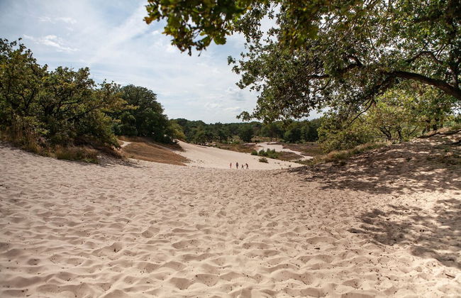 Luxury Villa in De Pier With Sauna - Foto 39