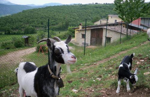 Agriturismo Casale Sant'Antonio - Foto 9