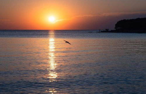 Pace e Salute - Photo 29