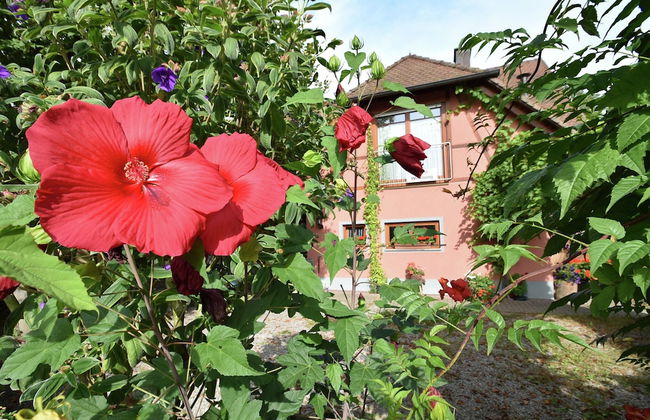 Family-friendly Apartment - Foto 36