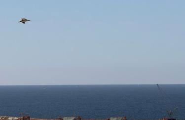 Bleu Horizon vue sur mer - Foto 4