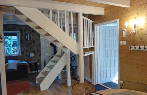 Black & White - Honey - Photo 34