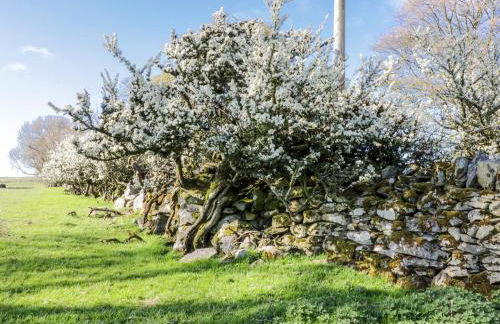 5 Ceirnioge Cottages - Photo 13