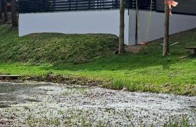 Oaza Las Zagozd 2 - Foto 3