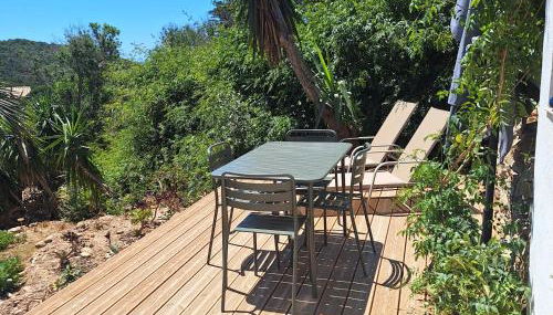 Les Bromélias Ile du Levant - Foto 4