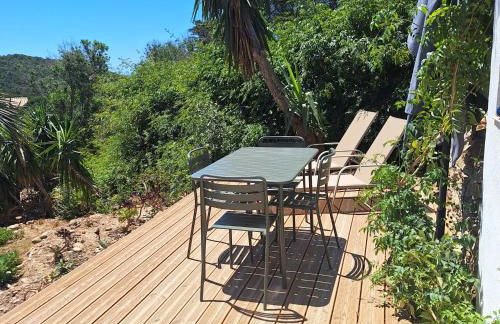 Les Bromélias Ile du Levant - Foto 4