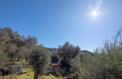 Stamatis House - Foto 29