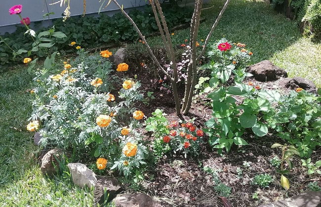 Refugio del Volcan - Foto 29