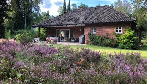 Landhaus mitten in der Lüneburger Heide - Foto 5, Garden