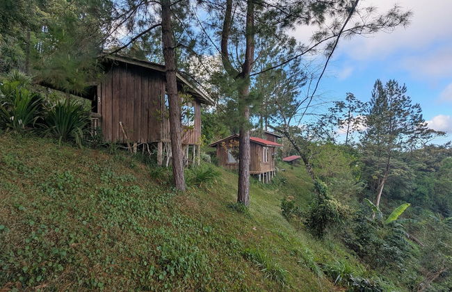 Campos de Oro Wilderness Lodge - Photo 70