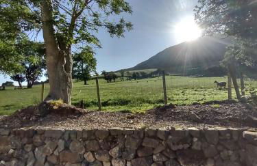 Ballymakeever Appartment - Private Hot Tub - Foto 28