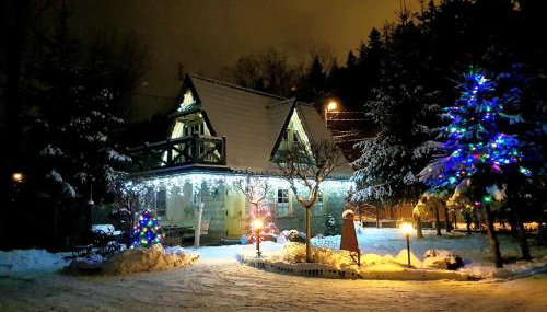 Domek Góralski Chatka Puchatka - Foto 2, Garden, Garden view