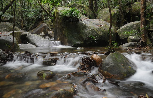 Daintree Cascades - Foto 43