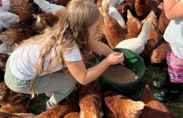 Landkulturhof Glücksbringer - Foto 32