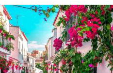 EsteponaCies - Photo 43