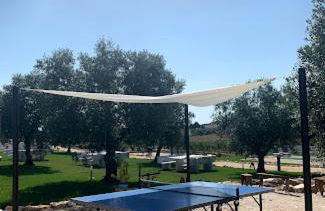 Herdade Da Maridona - Agroturismo - Foto 12