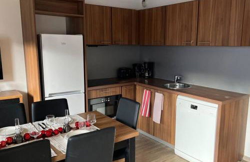 Refuge des Vues Alpines Isola 2000 - Photo 11