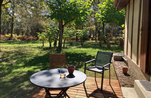 Maison en forêt, calme, proche village et piste cyclable - meublé 3 étoiles - Foto 5
