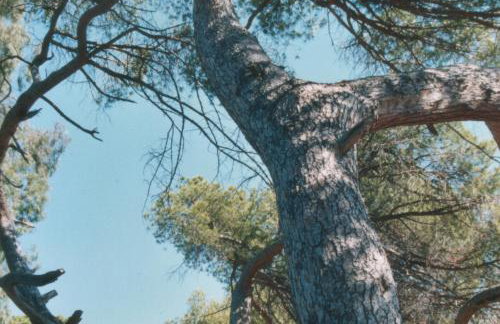 A Luna Rossa - Photo 48