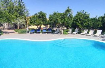 aranceto dell'Etna - Foto 1