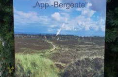 Kampen Bergente - Foto 12