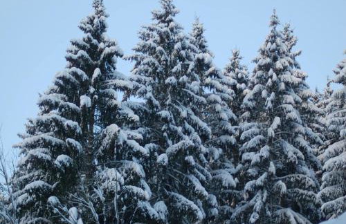 Hellenthal Family Retreat - Photo 80