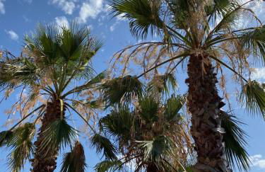 Villa with seaview at Platja d'Aro 11p - Foto 32